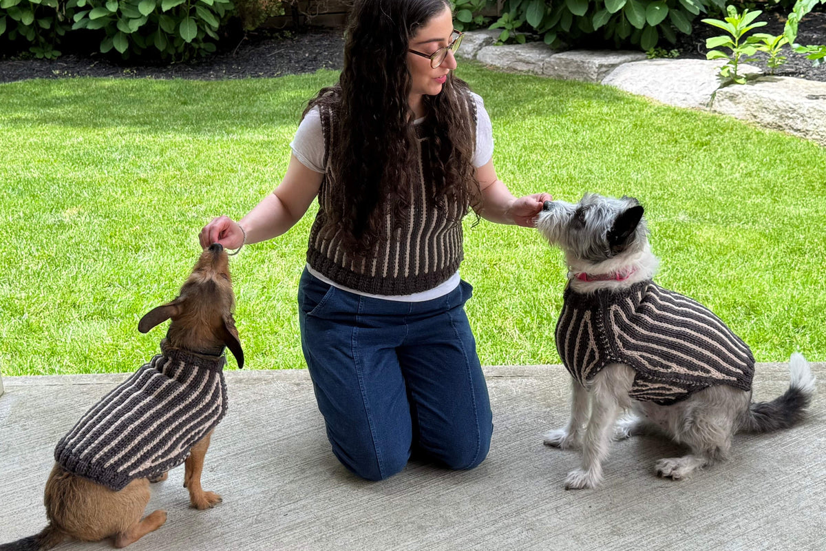 Woman kneeling on a porch with two dogs wearing  matching striped sweaters 