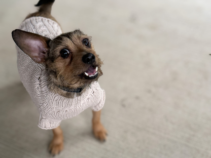 Cable Trim Matching Sweater Set — Human + Dog