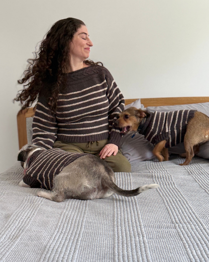 Cable Stripe Dog Sweater