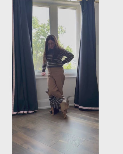 Cable Stripe Dog Sweater